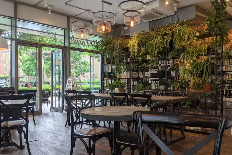 Interior of The Locals Chelsea