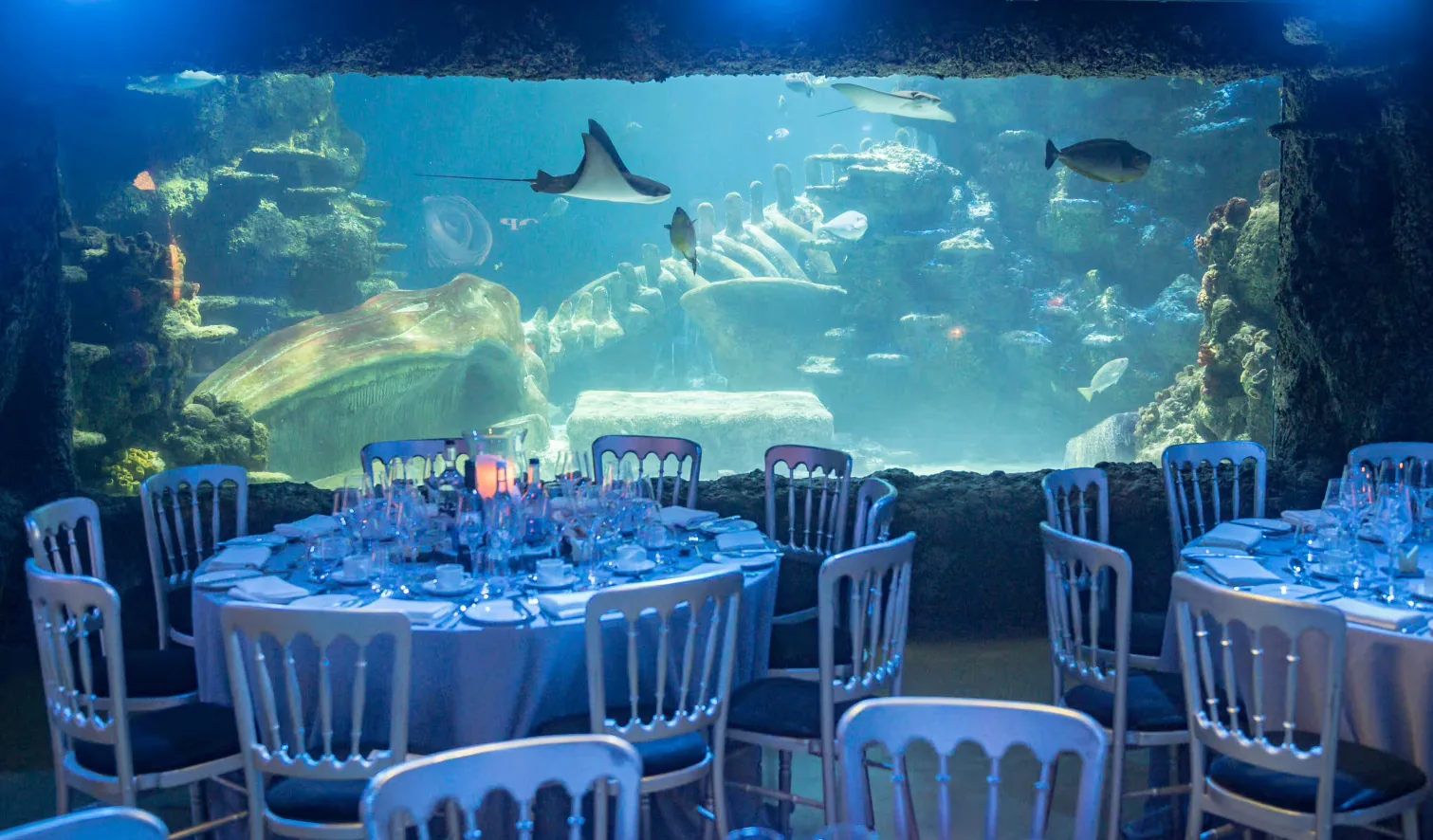 Whole Venue at Sea Life London Aquarium
