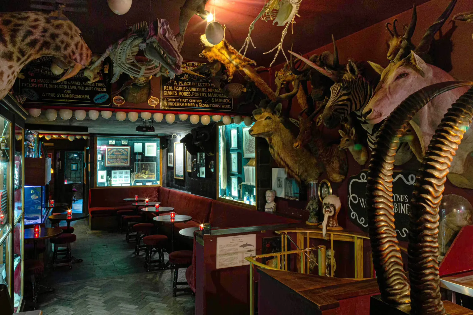 Interior of The Last Tuesday Society