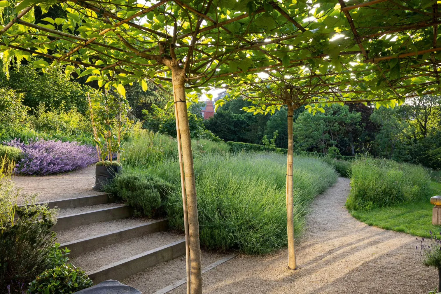 Interior of OmVed Gardens