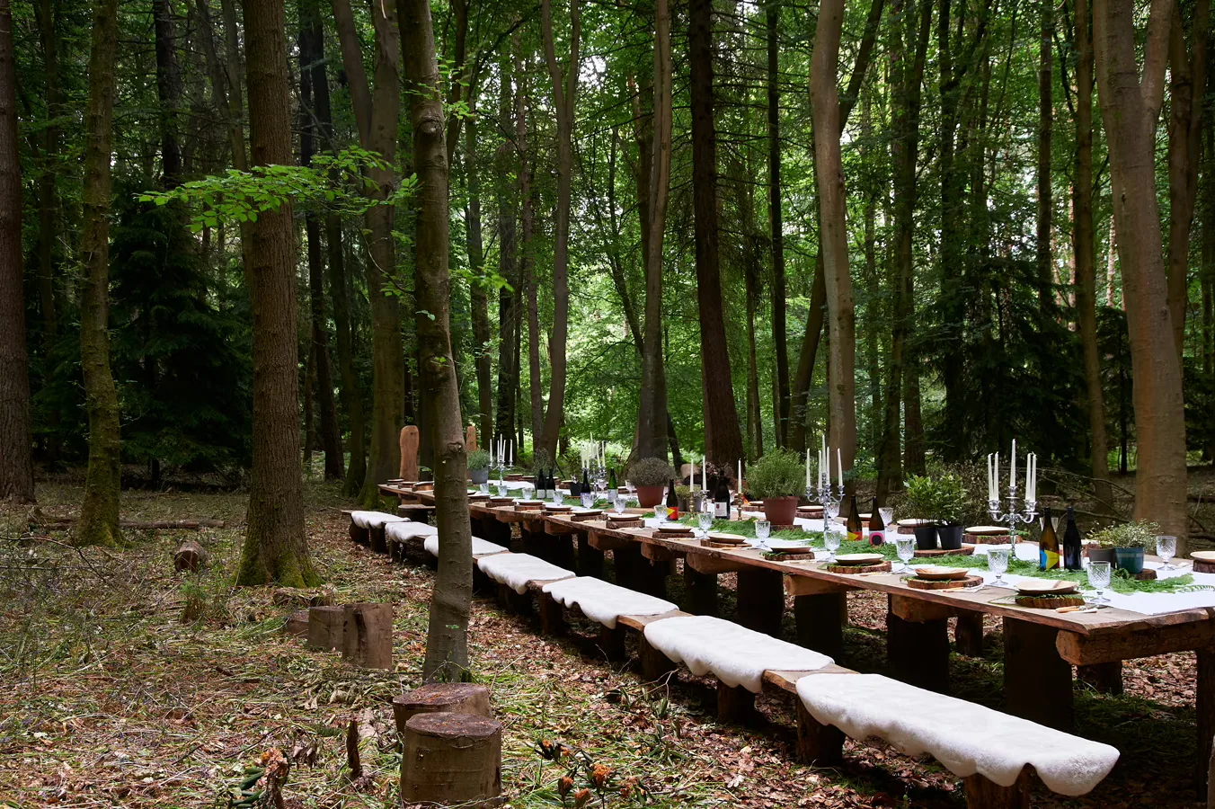 Interior of Nomadic Dinners