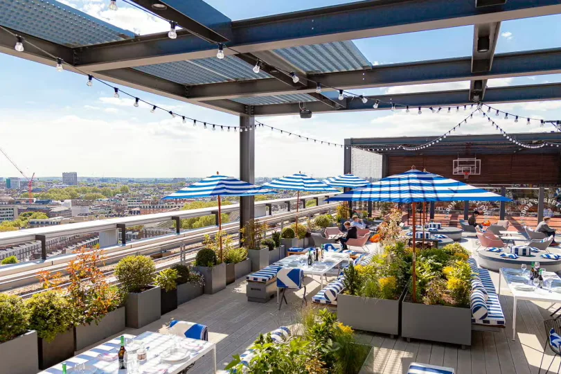 Roof Garden at Skylark Roof Garden